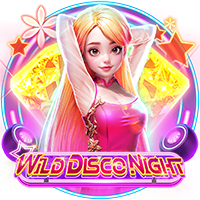 Wild Disco Night